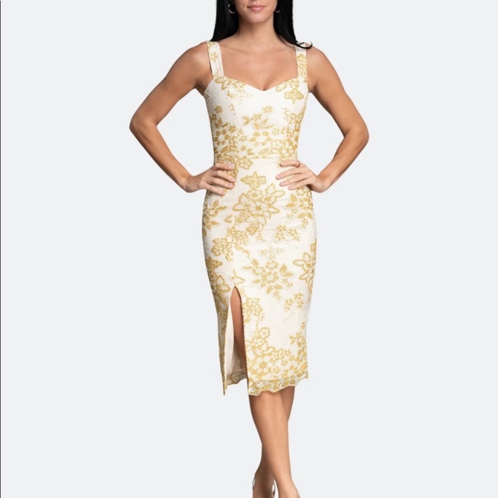 NEW Dress the Population Cadence midi dress embroidered flowers size XS
